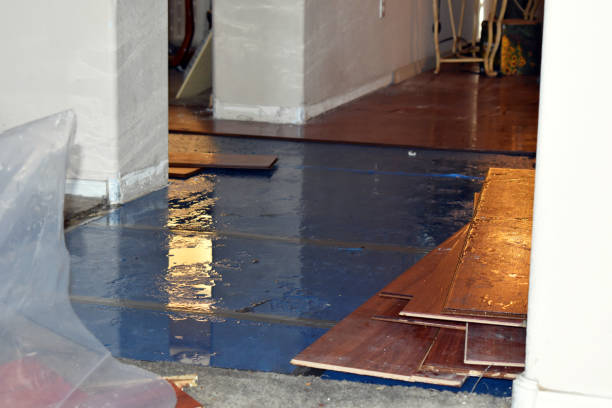 Professional Flood Cleanup technician working in Fairview, WV